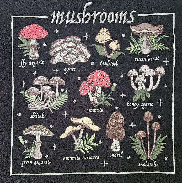 HOT TOPIC Wild Mushrooms Boxy Crop Black T-Shirt | SZ M - Picture 5 of 9